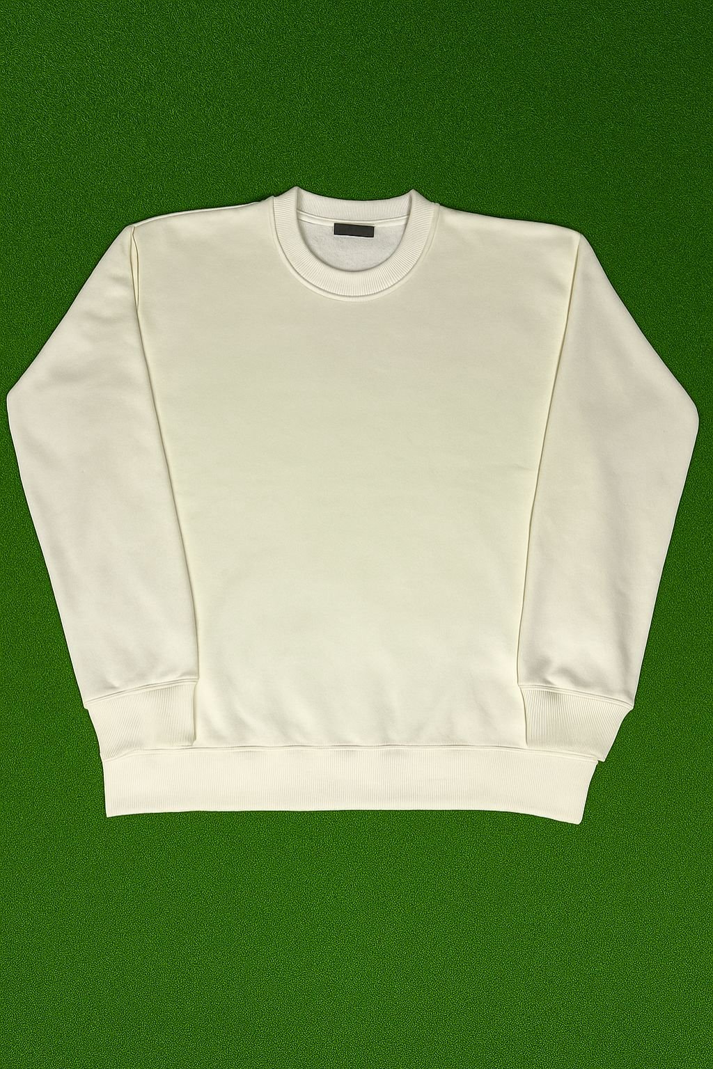 Sweatshirt 1